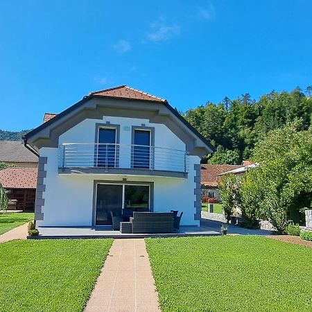 Hisa Haasberg Villa Planina  Exterior foto